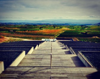 Best divorce solicitor