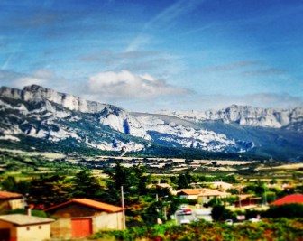 legal advice on living togther