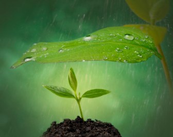 legal advice child abduction