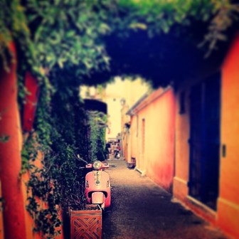 family law solicitor