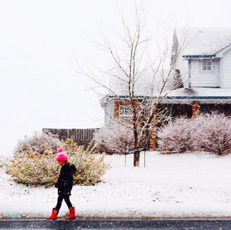 best family solicitor