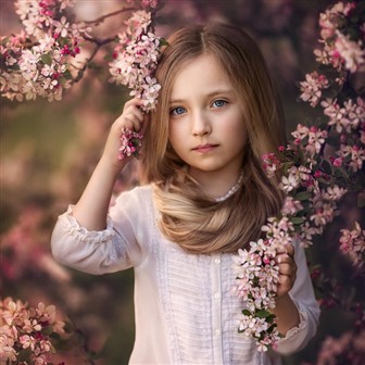 child custody and the gifted child