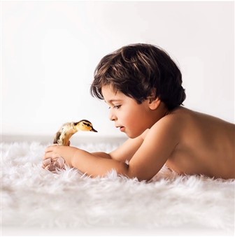 top divorce solicitor