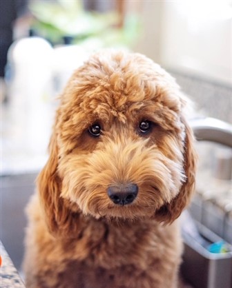 top divorce lawyer manchester