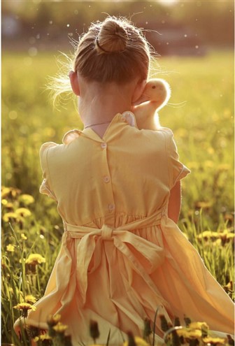 recommended divorce lawyer