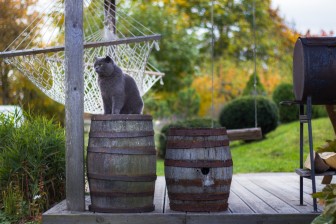 Photo by Silver Ringvee on Unsplash