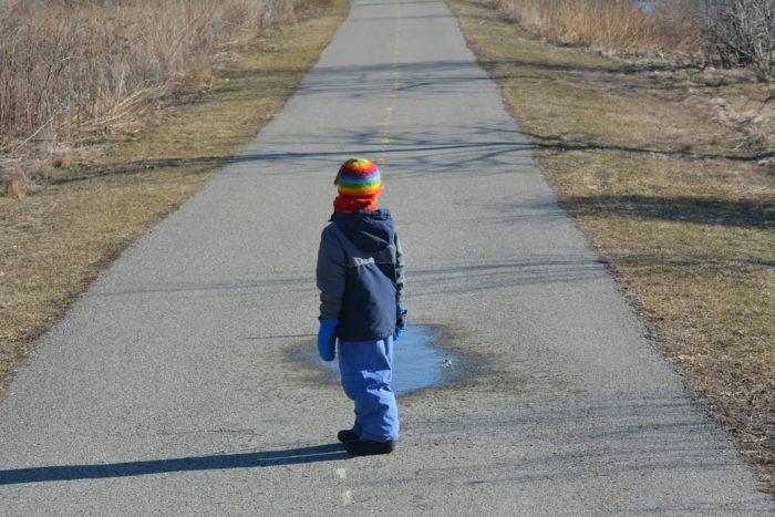 child law expert for Pathfinder Family Courts